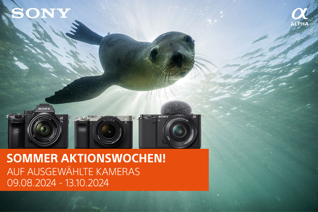 Sony Sujet für Alpha 7 III und Alpha 6000 Serie