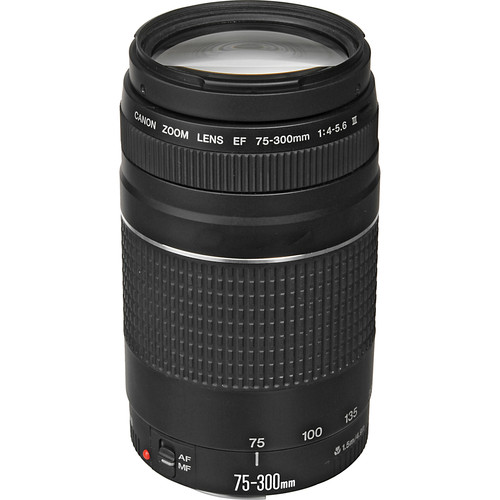 Canon EF 75-300mm f/4-5.6 III Objektiv