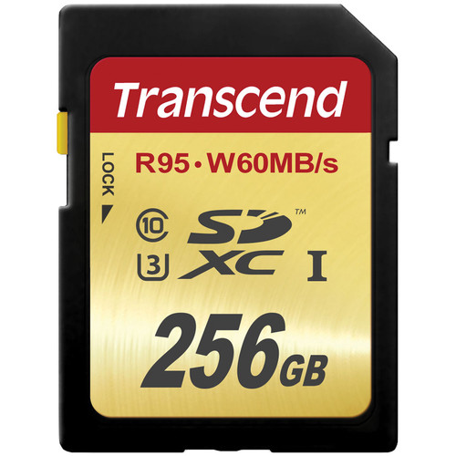 Transcend SDXC 256GB Klasse 10 UHS-1 U3 Speicherkarte