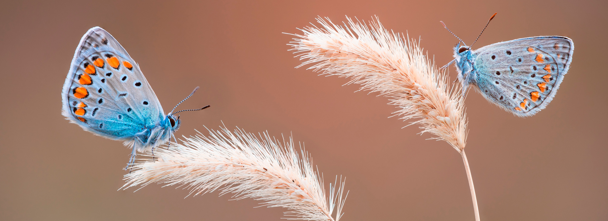 Peter Sabol mit seiner Sony Alpha 7R III