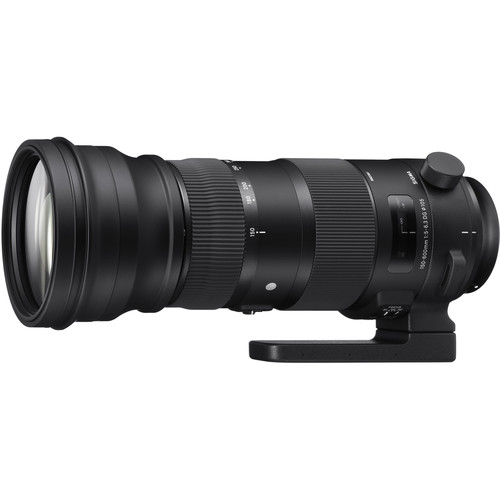 Sigma 150-600mm f/5-6.3 DG OS HSM Sports Objektiv für Nikon