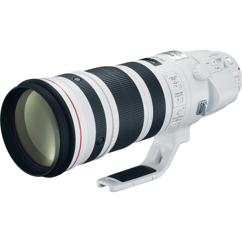 Canon EF 200-400mm f/4 L IS USM Objektiv mit Extender 1.4x